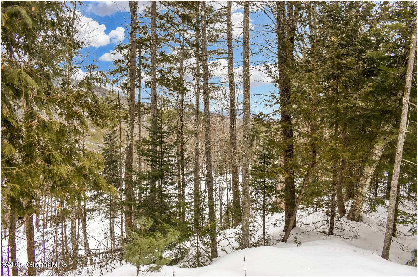 L64 Cooper Hill Road North Creek, NY 12853 - Photo 7 of 29 123