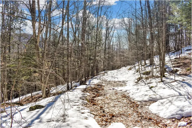 $97,500 | L64 Cooper Hill Road, North Creek, NY 12853