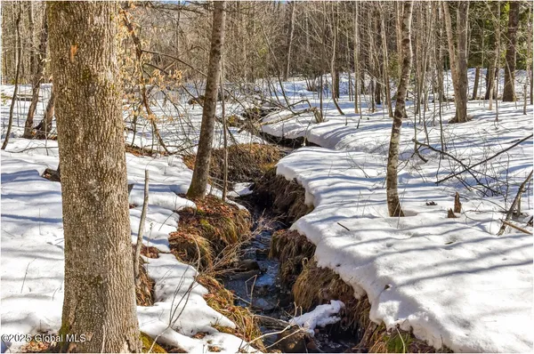 $97,500 | L64 Cooper Hill Road, North Creek, NY 12853