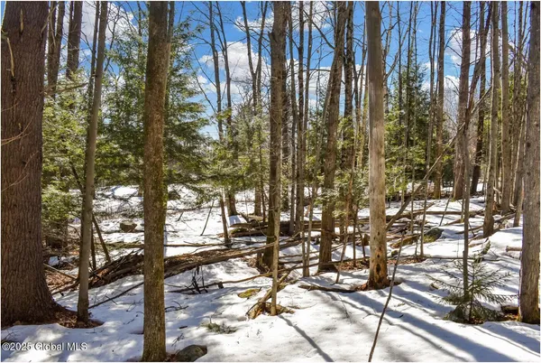 $97,500 | L64 Cooper Hill Road, North Creek, NY 12853