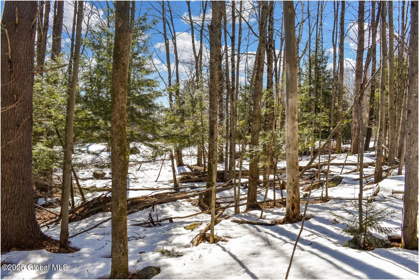 L64 Cooper Hill Road North Creek, NY 12853 - Photo 10 of 29 ch20