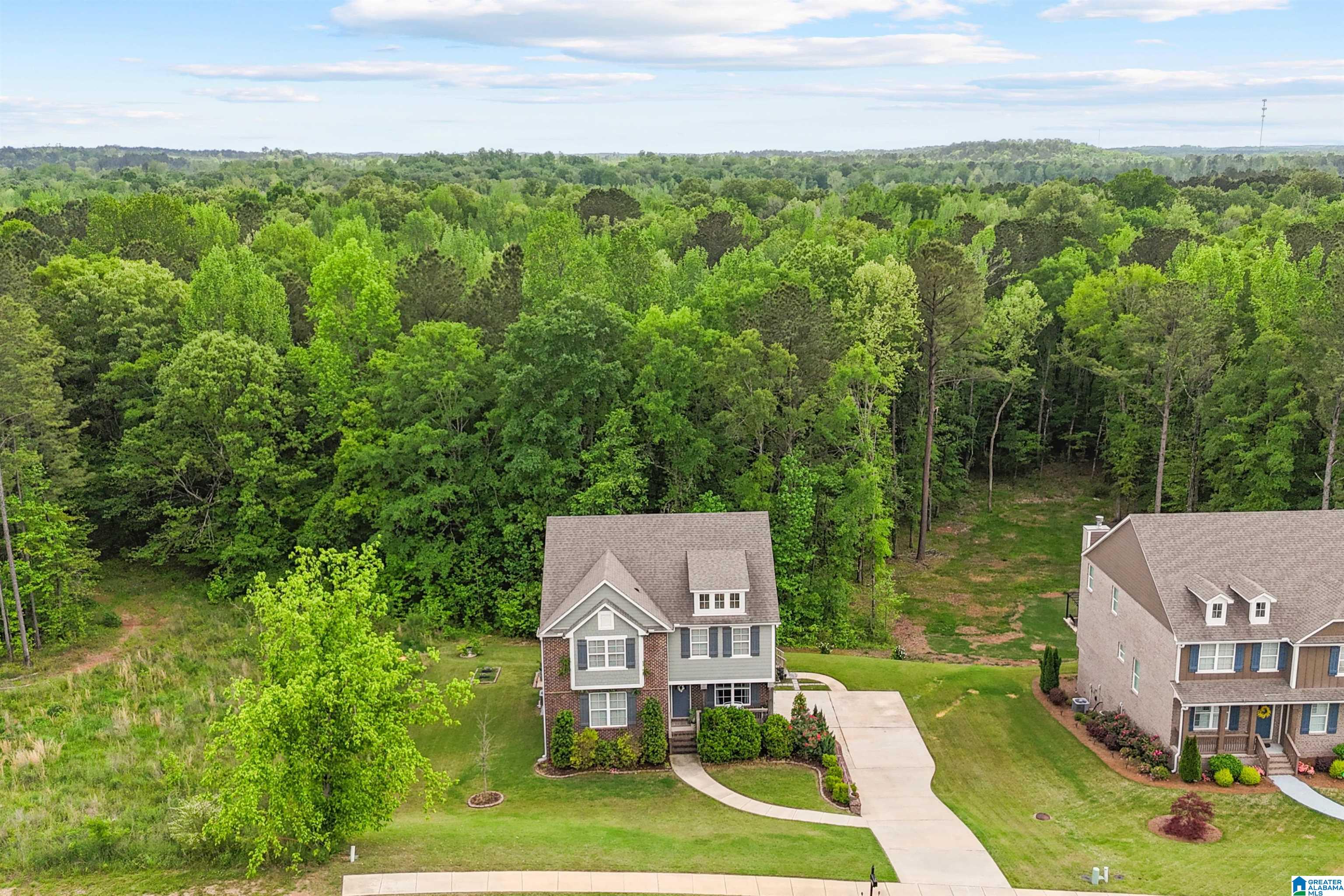 1064 Timberline Ridge Calera, AL 35040 - Photo 4 of 64 Gallery Image 4