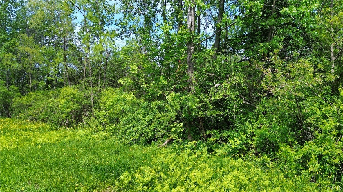 7630 Wall Street Road Wolcott, NY 14590 - Photo 4 of 15