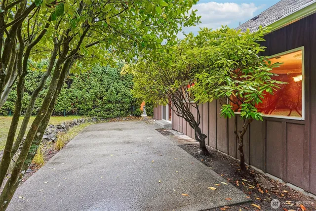 a view of a backyard with plants and large trees