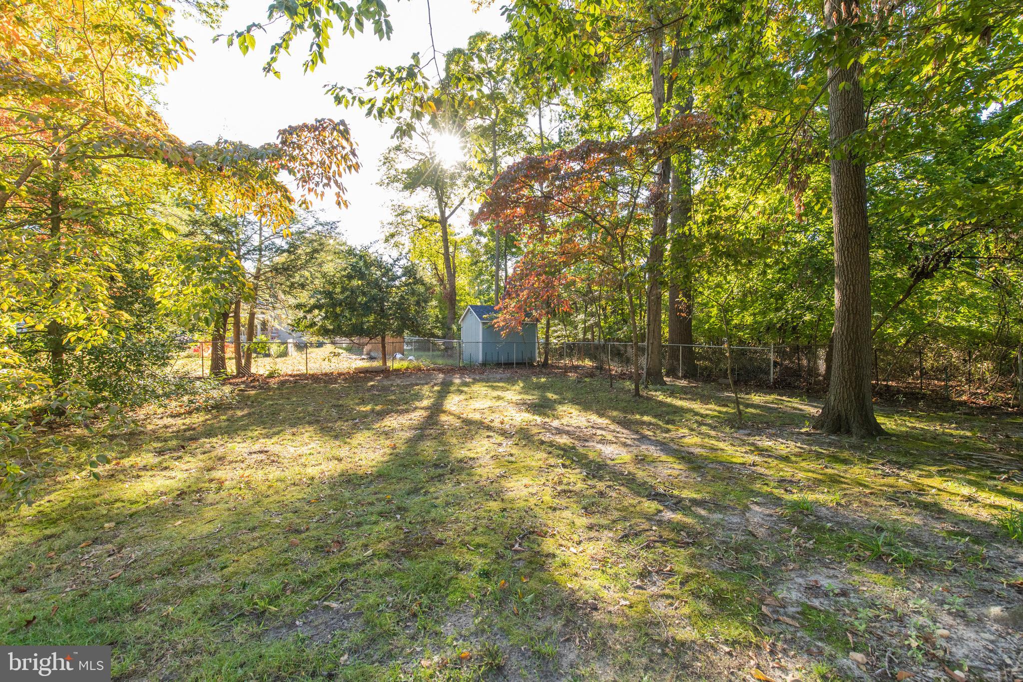 5 Edison Avenue Clementon, NJ 08021 - Photo 25 of 28 a view of yard with trees