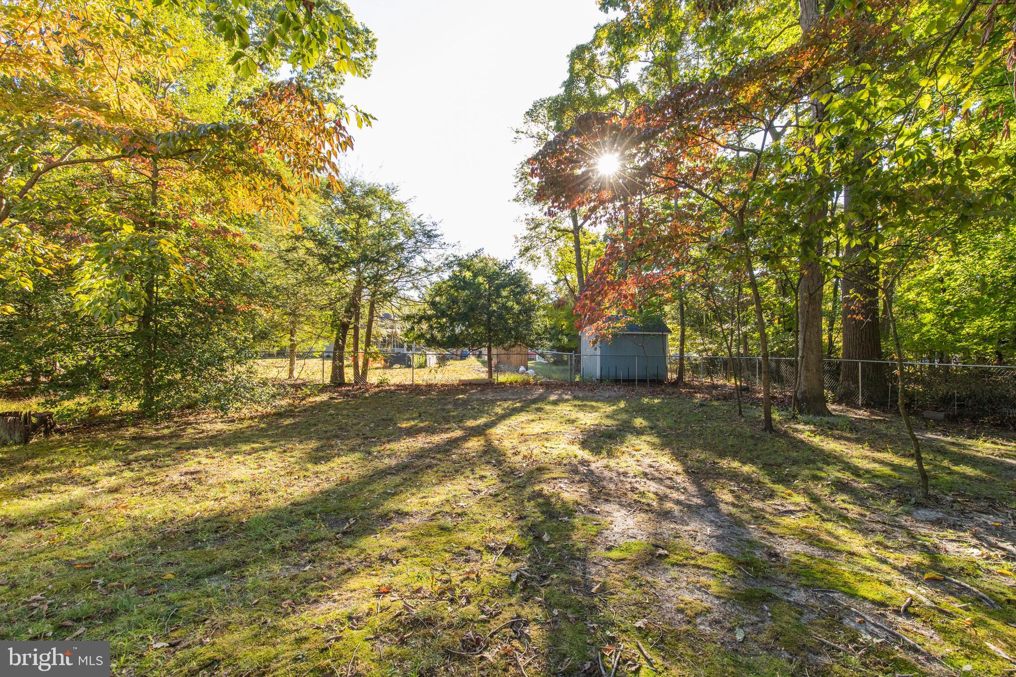5 Edison Avenue Clementon, NJ 08021 - Photo 26 of 28 a view of a yard with trees