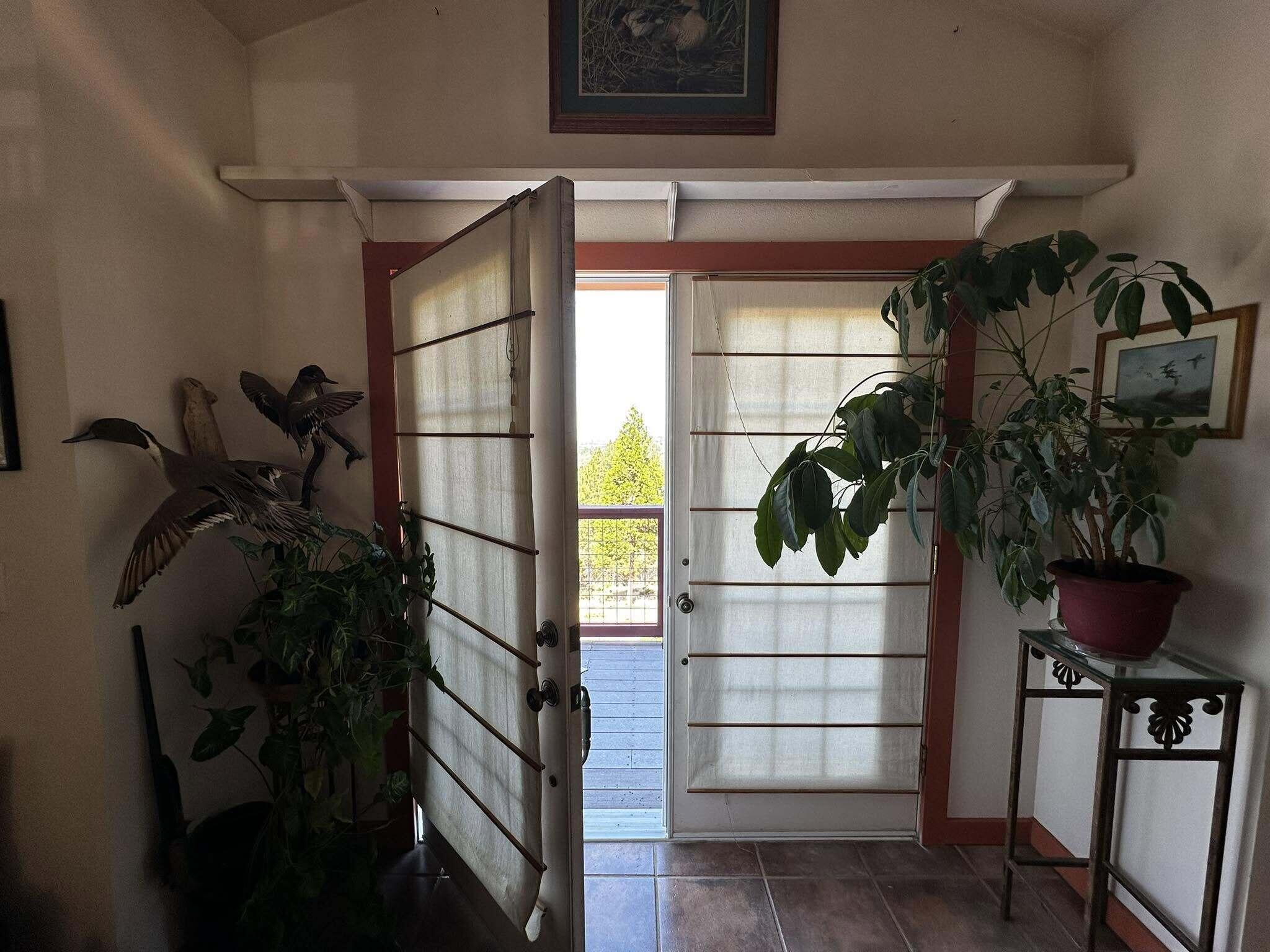 31300 Miller Mountain Road Whitmore, CA 96096 - Photo 13 of 38 720249491_10164012281657777_593524973182