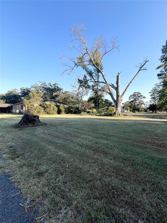 335 Cole Road Kinder, LA 70648 - Photo 2 of 23