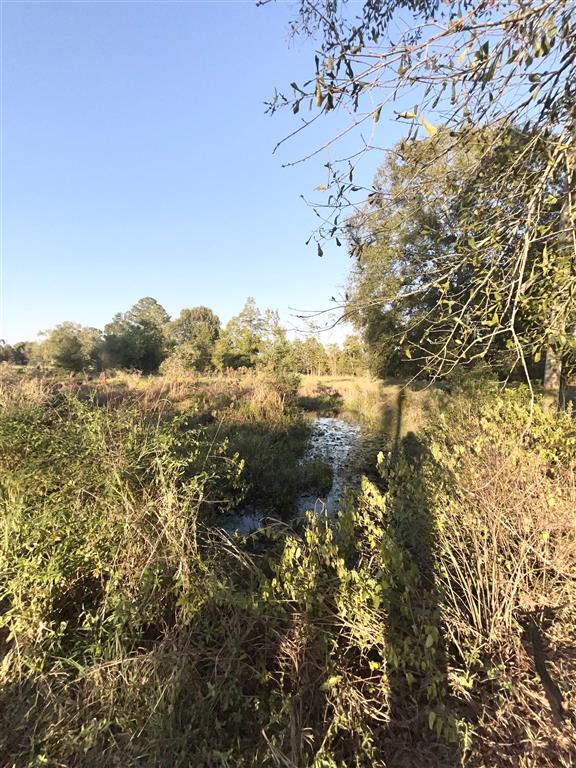 335 Cole Road Kinder, LA 70648 - Photo 23 of 23