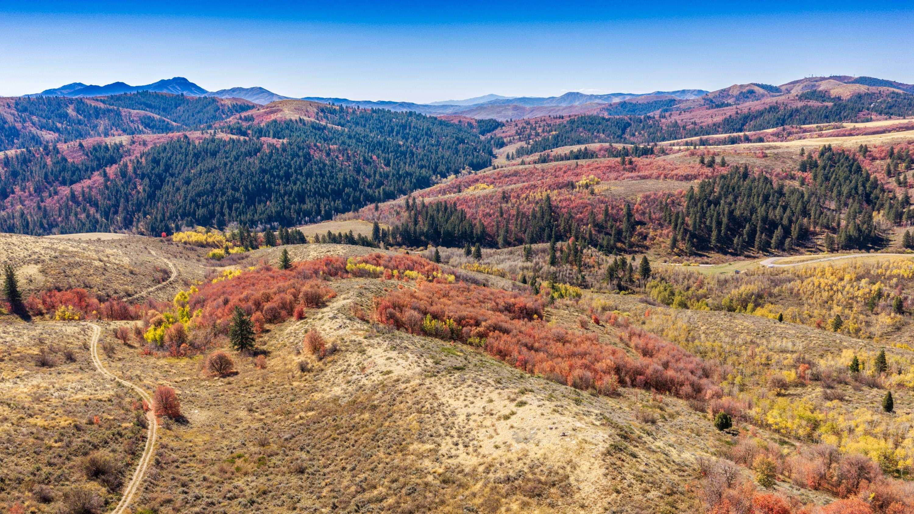 Tbd West Buckskin Road Pocatello, ID 83201 - Photo 10 of 12 Gallery Image 10