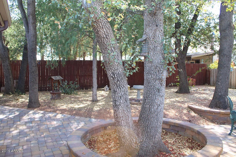 203 North Lakeshore Road Payson, AZ 85541 - Photo 29 of 33 Back Yard