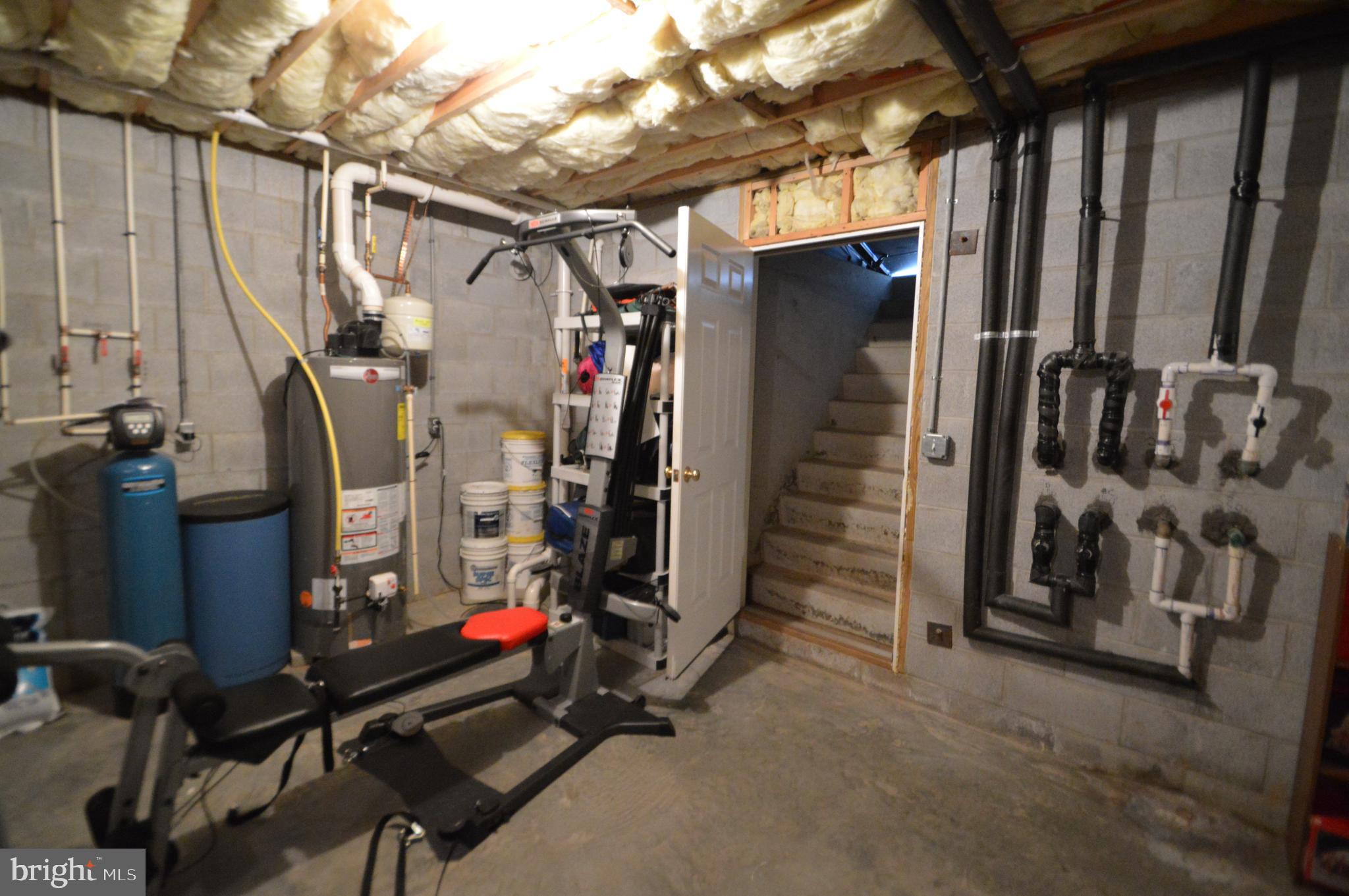 608 Belgian Way Lititz, PA 17543 - Photo 65 of 75 Bilco door to backyard