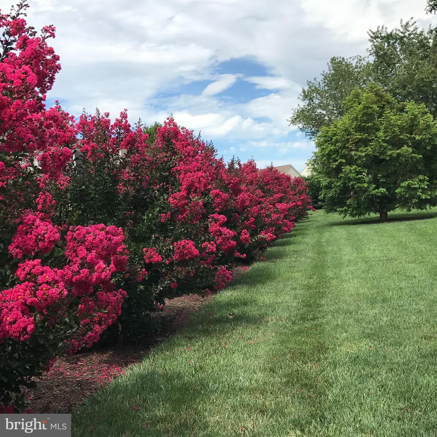 608 Belgian Way Lititz, PA 17543 - Photo 74 of 75 Summertime beauty