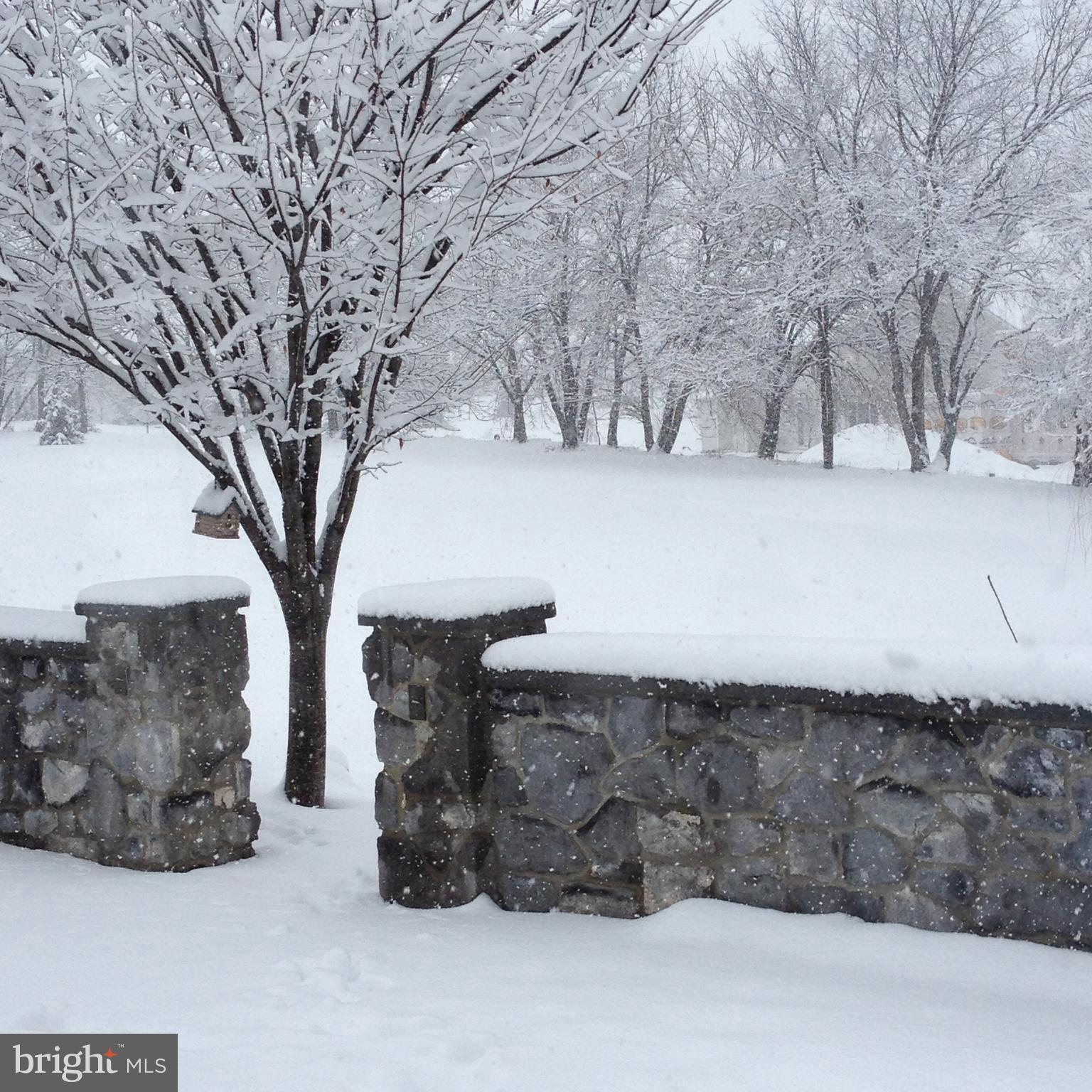 608 Belgian Way Lititz, PA 17543 - Photo 75 of 75 Winter wonderland!