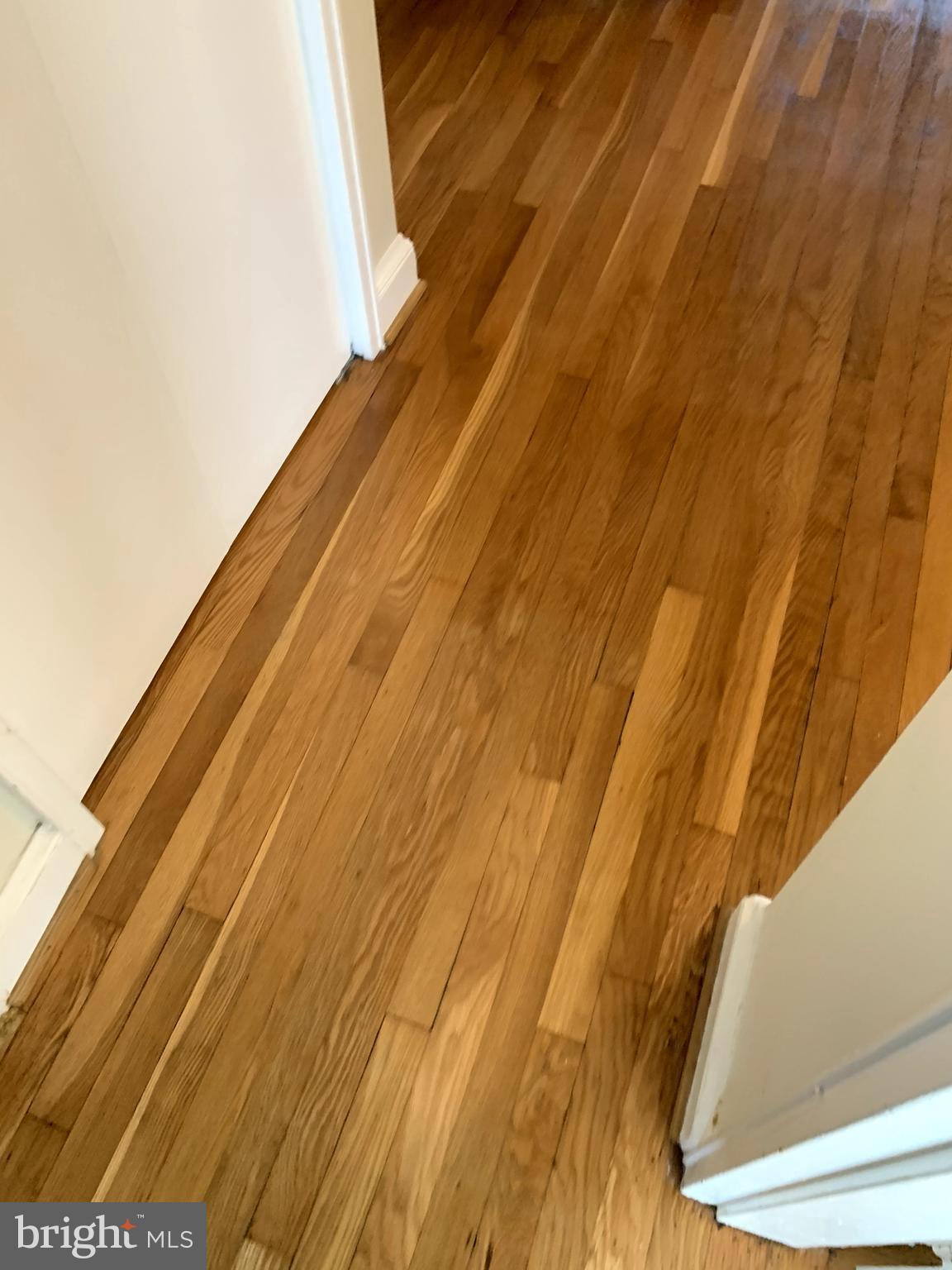 109 Webster Street Northeast Washington, DC 20011 - Photo 10 of 24 Unit 1