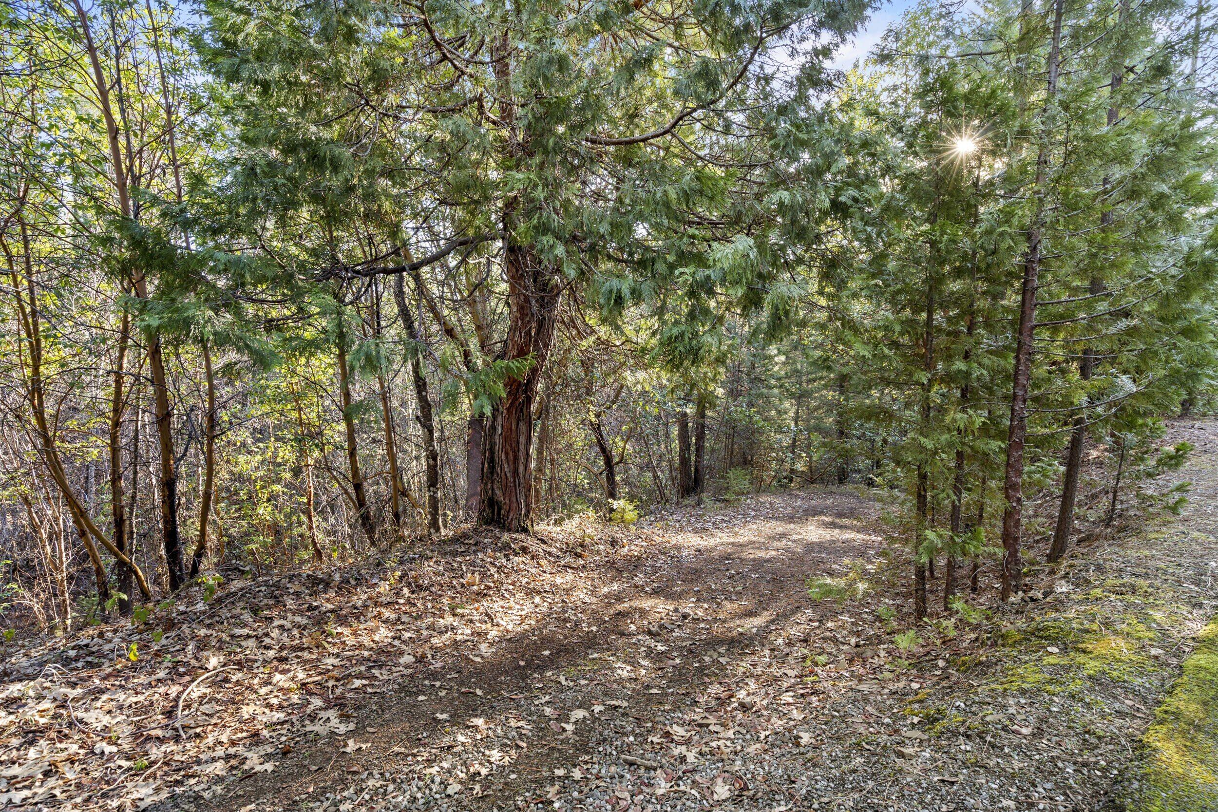11376 Ramsey Road Gold Hill, OR 97525 - Photo 52 of 64 67_11376 ramsey road - 67