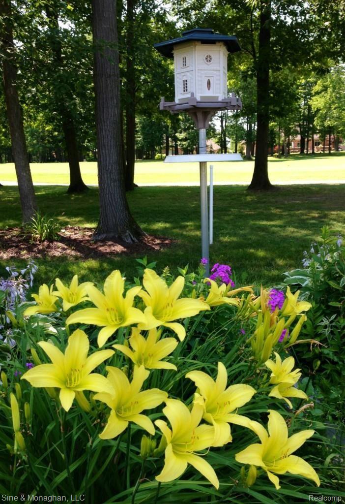 1903 Pug Road St. Clair, MI 48079 - Photo 30 of 40 31 Birds at 1903 Pug Rd. (1)
