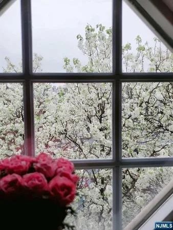 a view of a tree