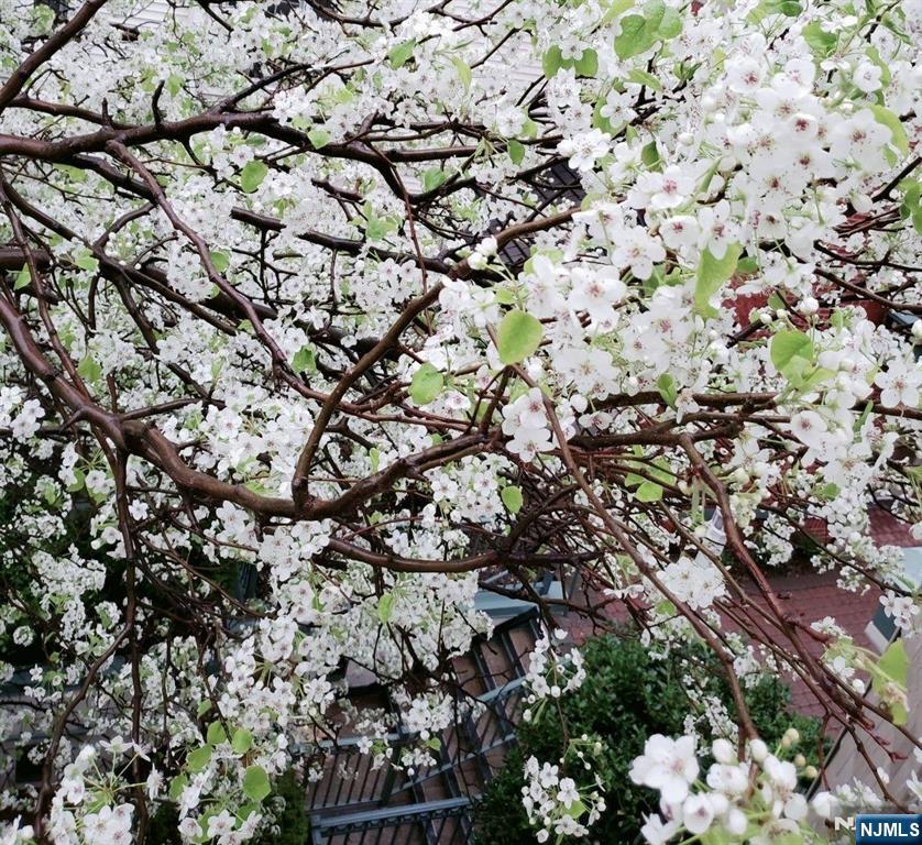 337 The Promenade, Unit 337 Edgewater, NJ 07020 - Photo 23 of 25