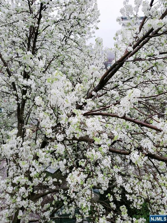 337 The Promenade, Unit 337 Edgewater, NJ 07020 - Photo 24 of 25