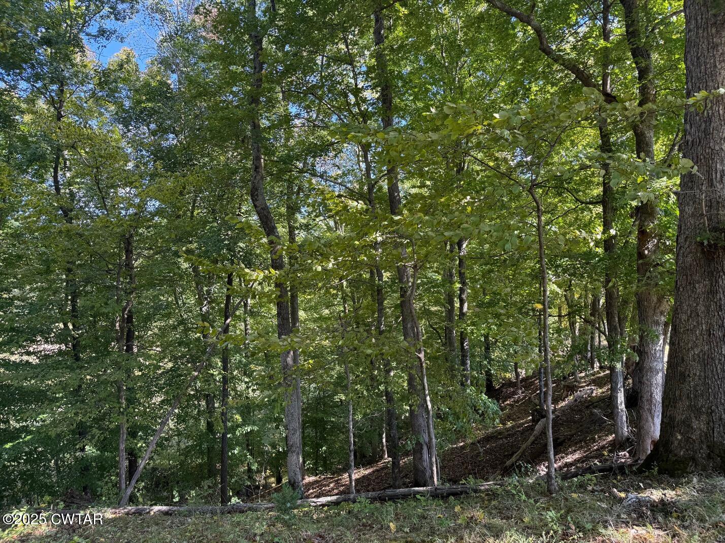1380 Cleve Duke Road Hornbeak, TN 38232 - Photo 11 of 29 a backyard of a house with lots of trees