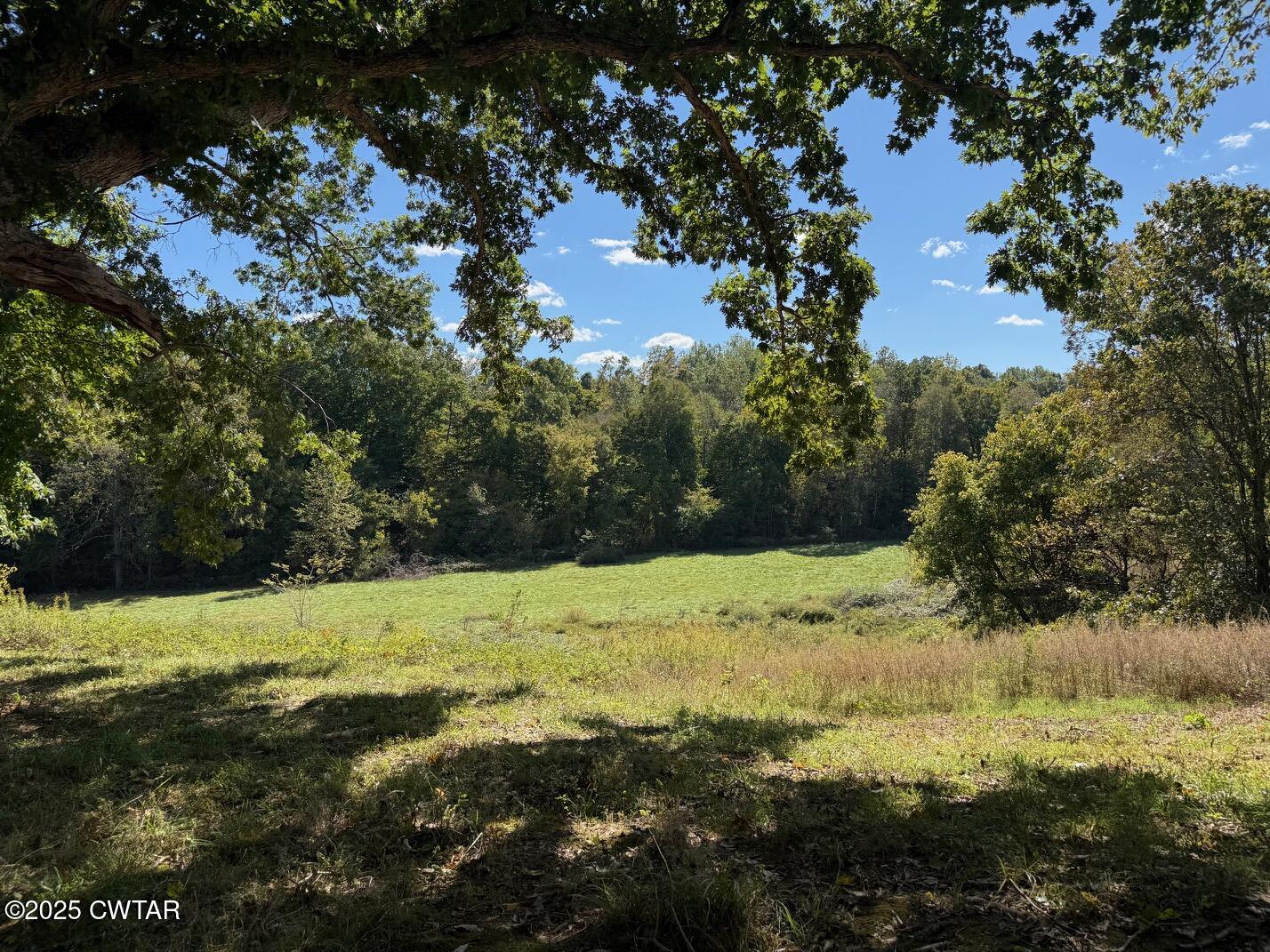 1380 Cleve Duke Road Hornbeak, TN 38232 - Photo 14 of 29 a view of a yard with a tree