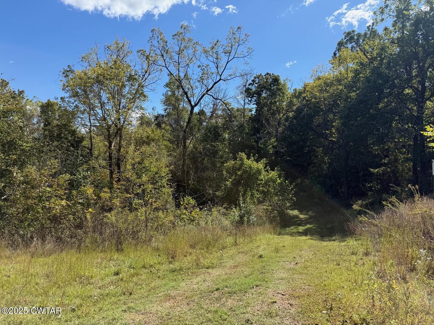 1380 Cleve Duke Road Hornbeak, TN 38232 - Photo 2 of 29