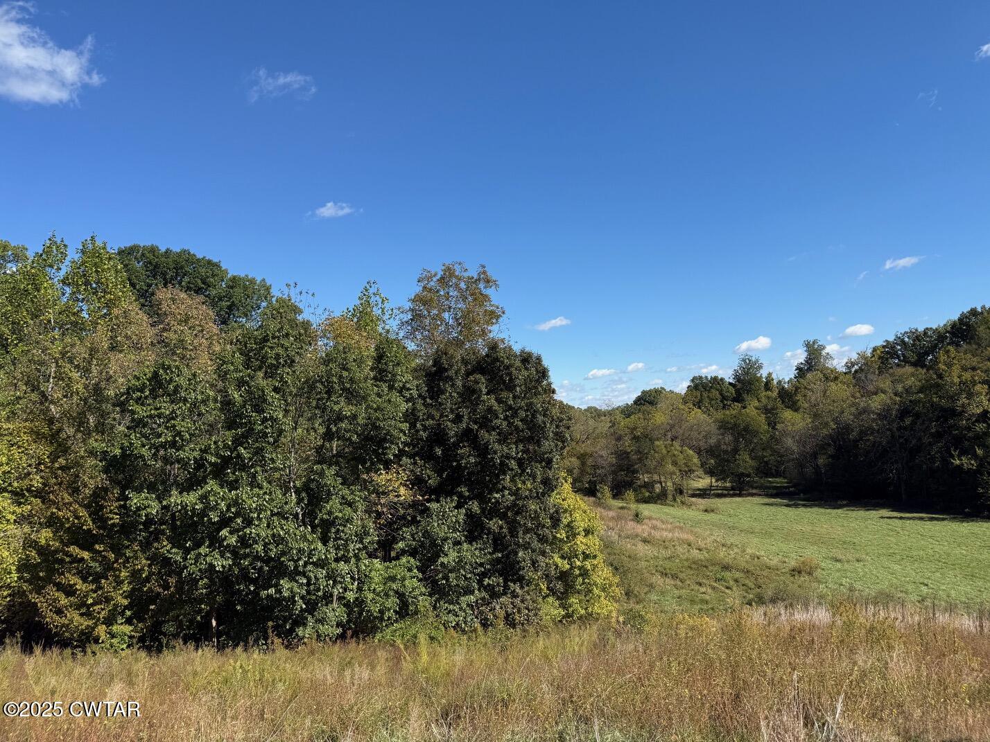 1380 Cleve Duke Road Hornbeak, TN 38232 - Photo 25 of 29 a view of a yard with a tree