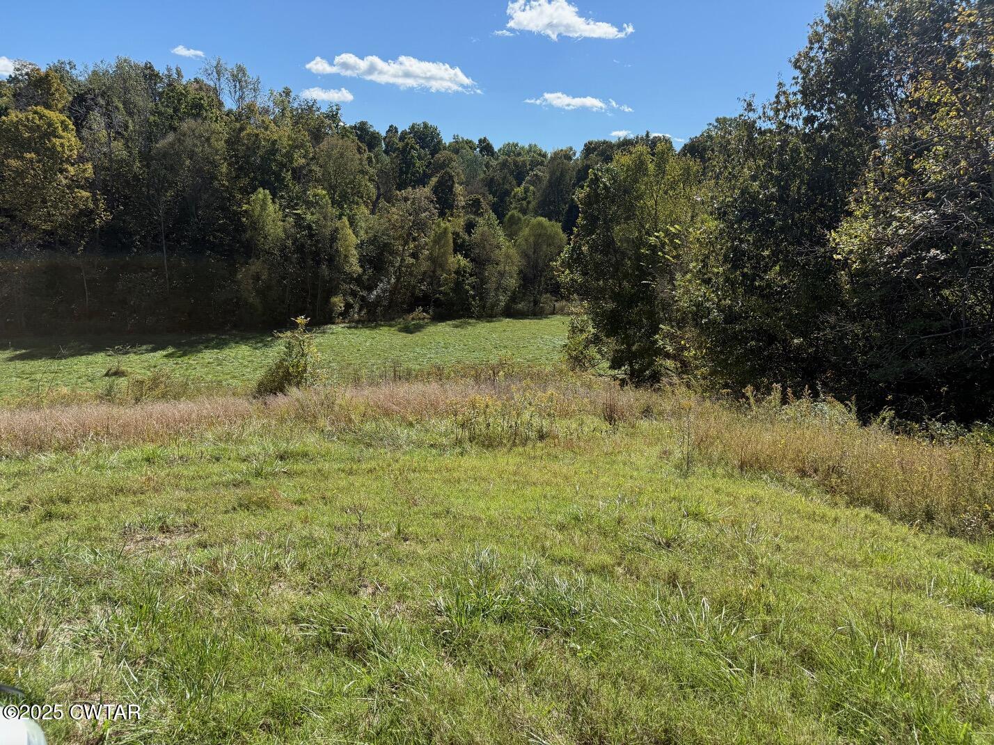 1380 Cleve Duke Road Hornbeak, TN 38232 - Photo 26 of 29 a view of a yard with a tree