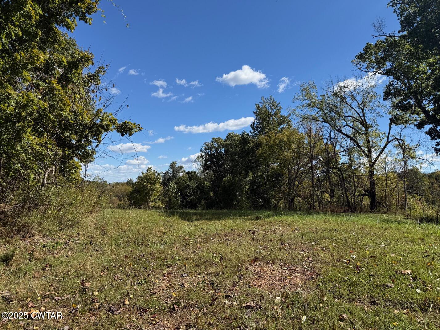 1380 Cleve Duke Road Hornbeak, TN 38232 - Photo 6 of 29 a view of basketball court