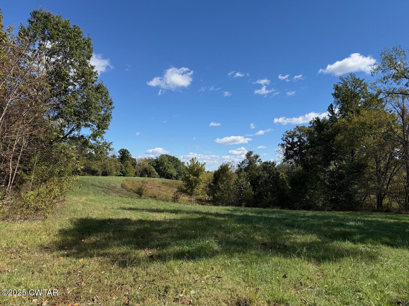 1380 Cleve Duke Road Hornbeak, TN 38232 - Photo 7 of 29 a view of a field of grass and trees