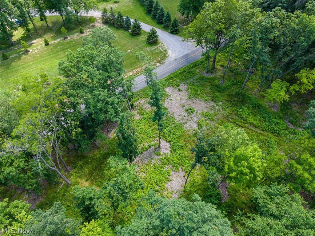 Wayland Road Diamond, OH 44412 - Photo 5 of 20