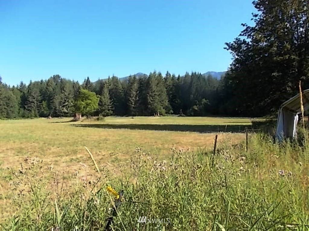 606 Skinner Road Randle, WA 98377 - Photo 11 of 29 Gallery Image 11