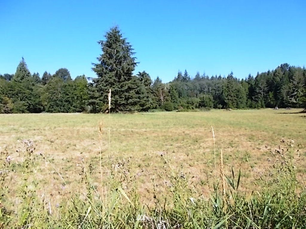 606 Skinner Road Randle, WA 98377 - Photo 12 of 29 Gallery Image 12