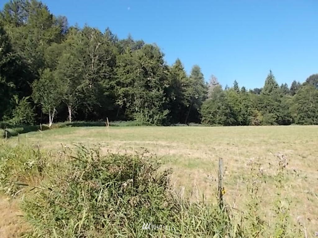 606 Skinner Road Randle, WA 98377 - Photo 13 of 29 Gallery Image 13