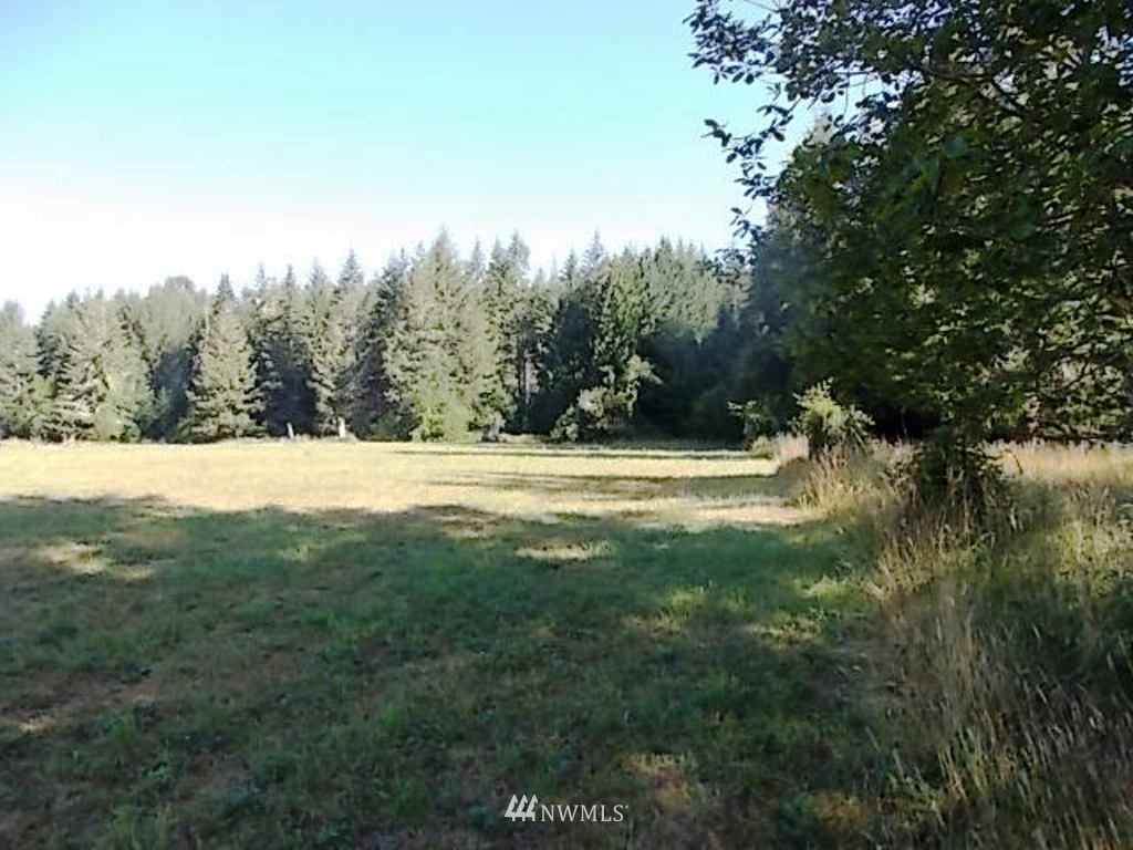 606 Skinner Road Randle, WA 98377 - Photo 15 of 29 Gallery Image 15