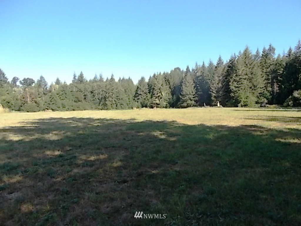 606 Skinner Road Randle, WA 98377 - Photo 16 of 29 Gallery Image 16