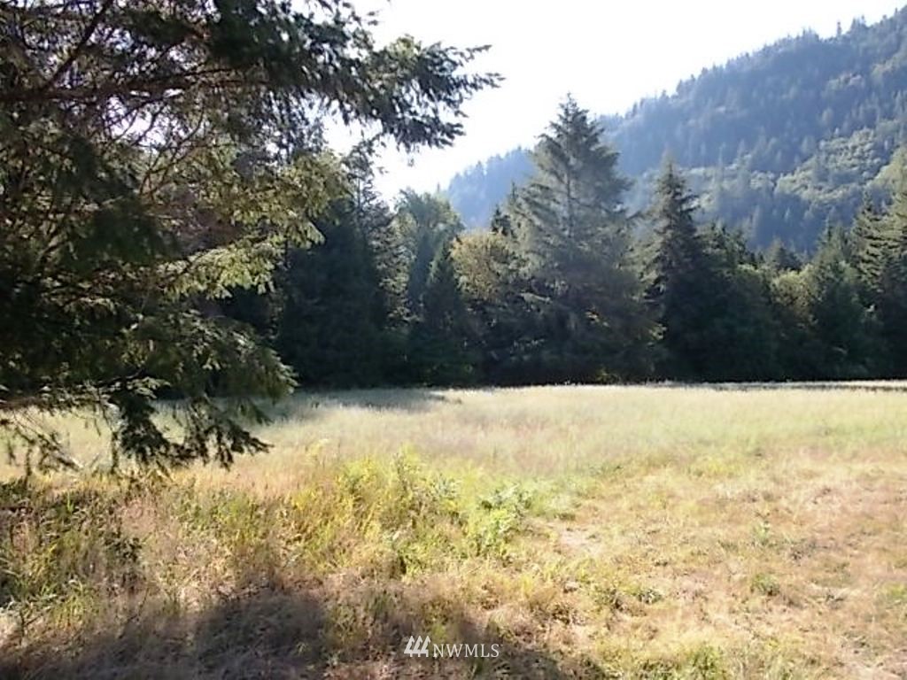 606 Skinner Road Randle, WA 98377 - Photo 17 of 29 Gallery Image 17
