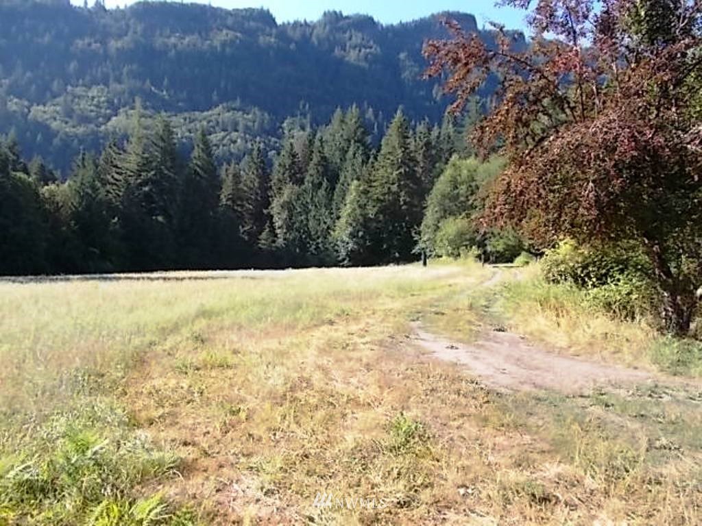 606 Skinner Road Randle, WA 98377 - Photo 18 of 29 Gallery Image 18