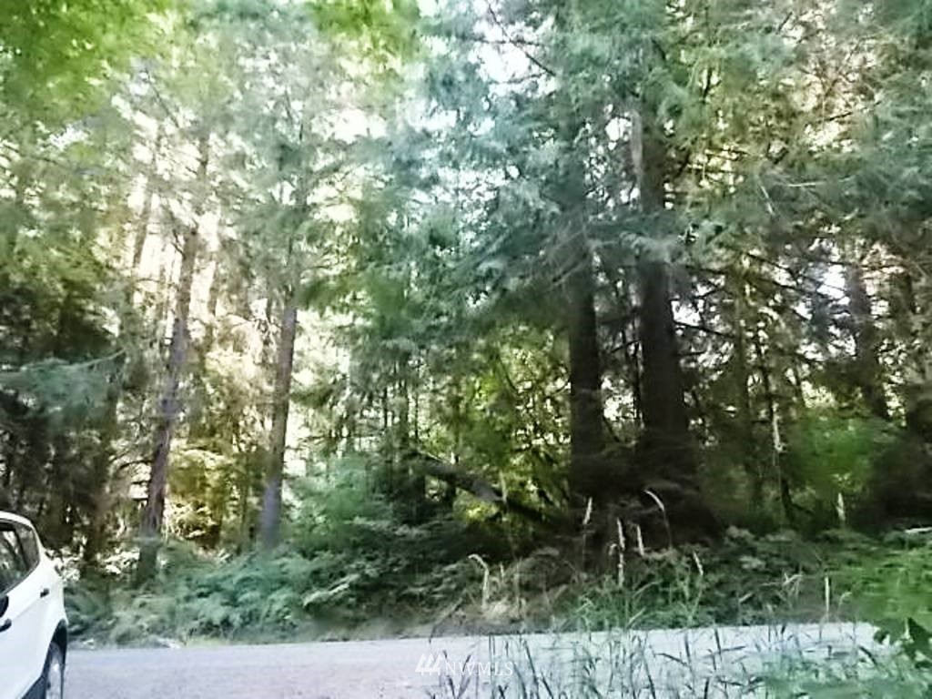 606 Skinner Road Randle, WA 98377 - Photo 20 of 29 Gallery Image 20