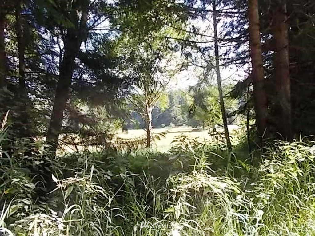 606 Skinner Road Randle, WA 98377 - Photo 26 of 29 Gallery Image 26