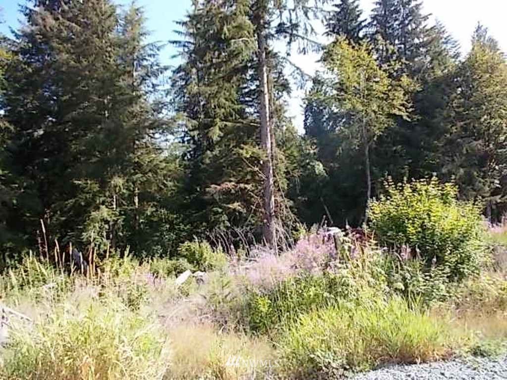 606 Skinner Road Randle, WA 98377 - Photo 28 of 29 Gallery Image 28