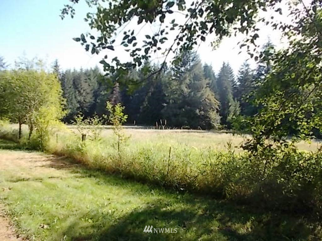 606 Skinner Road Randle, WA 98377 - Photo 4 of 29 Gallery Image 4