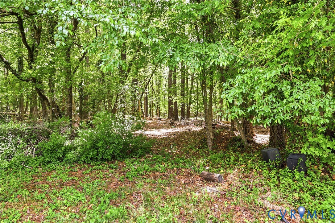 1948 Vesonder Road Petersburg, VA 23805 - Photo 24 of 28 Nothing but Woods Behind Home