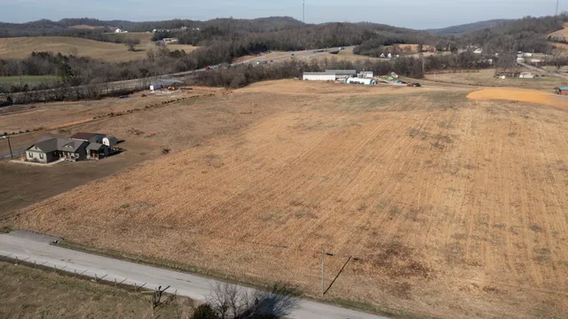 a view of a dry yard with trees