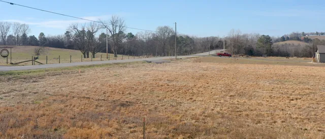a view of a dry yard with trees