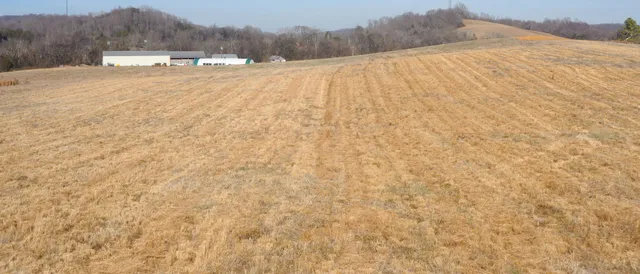 a view of a dry yard with a barn