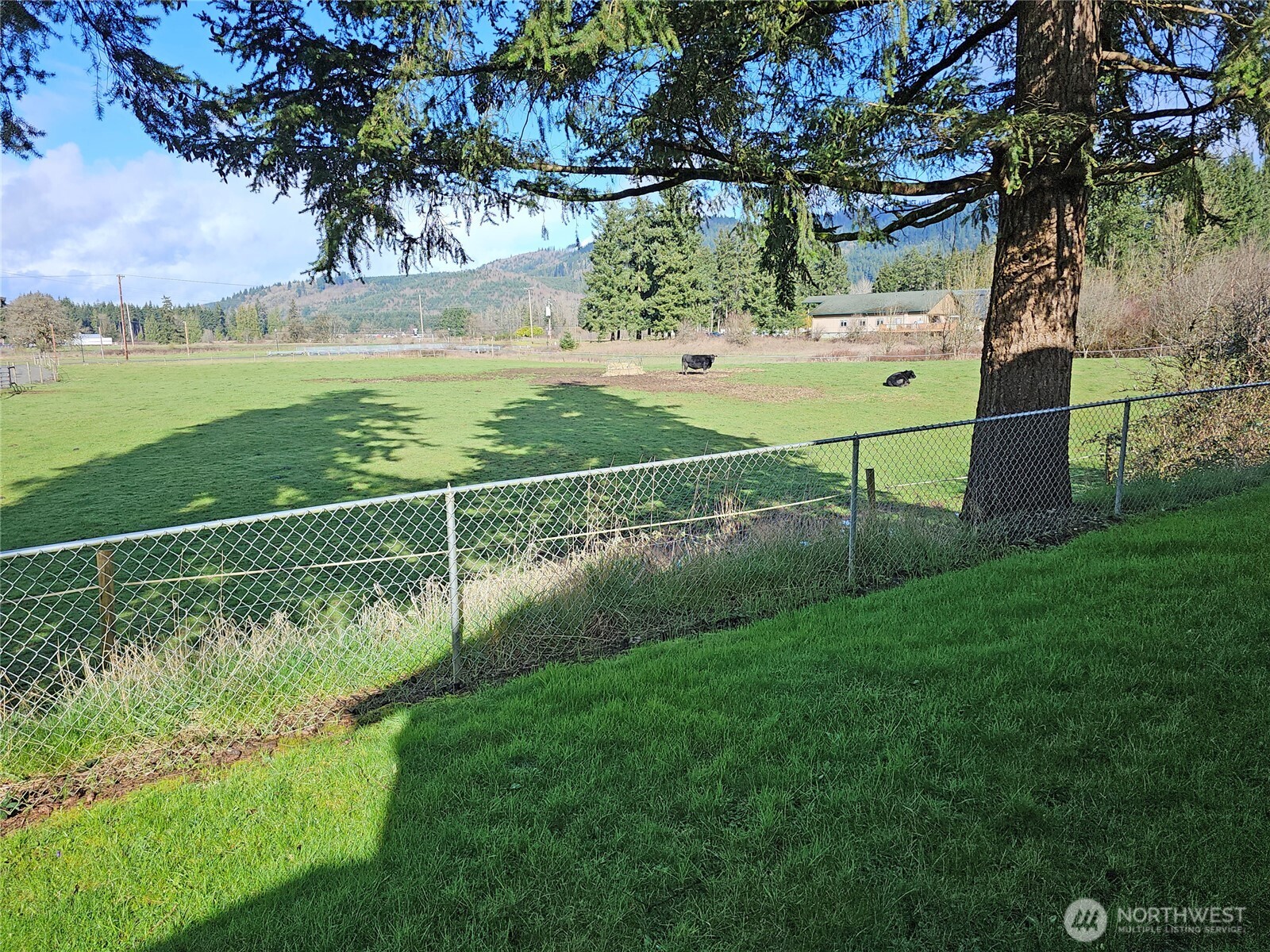 18146 Anderson Road Southwest Rochester, WA 98579 - Photo 18 of 30