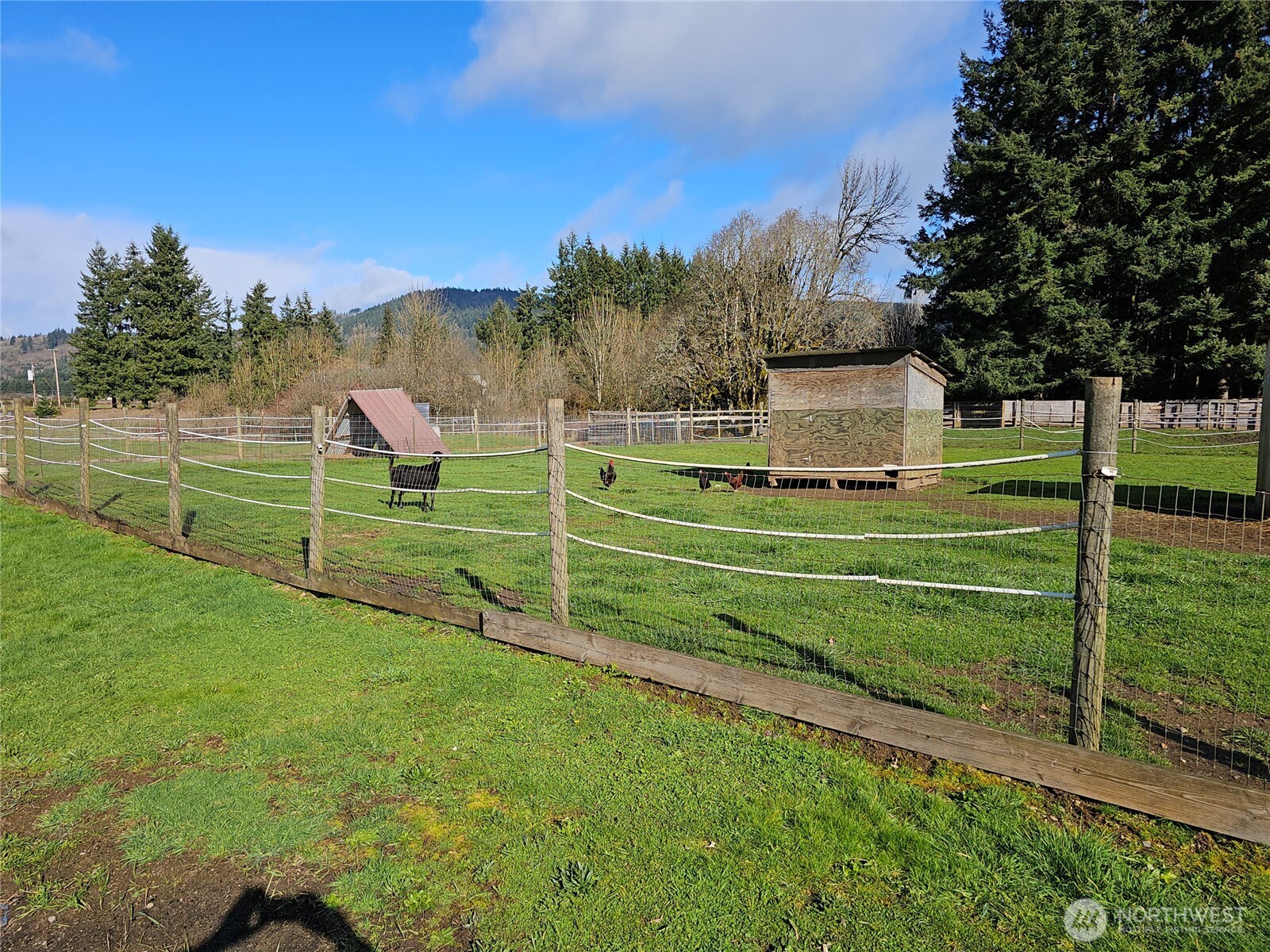 18146 Anderson Road Southwest Rochester, WA 98579 - Photo 24 of 30
