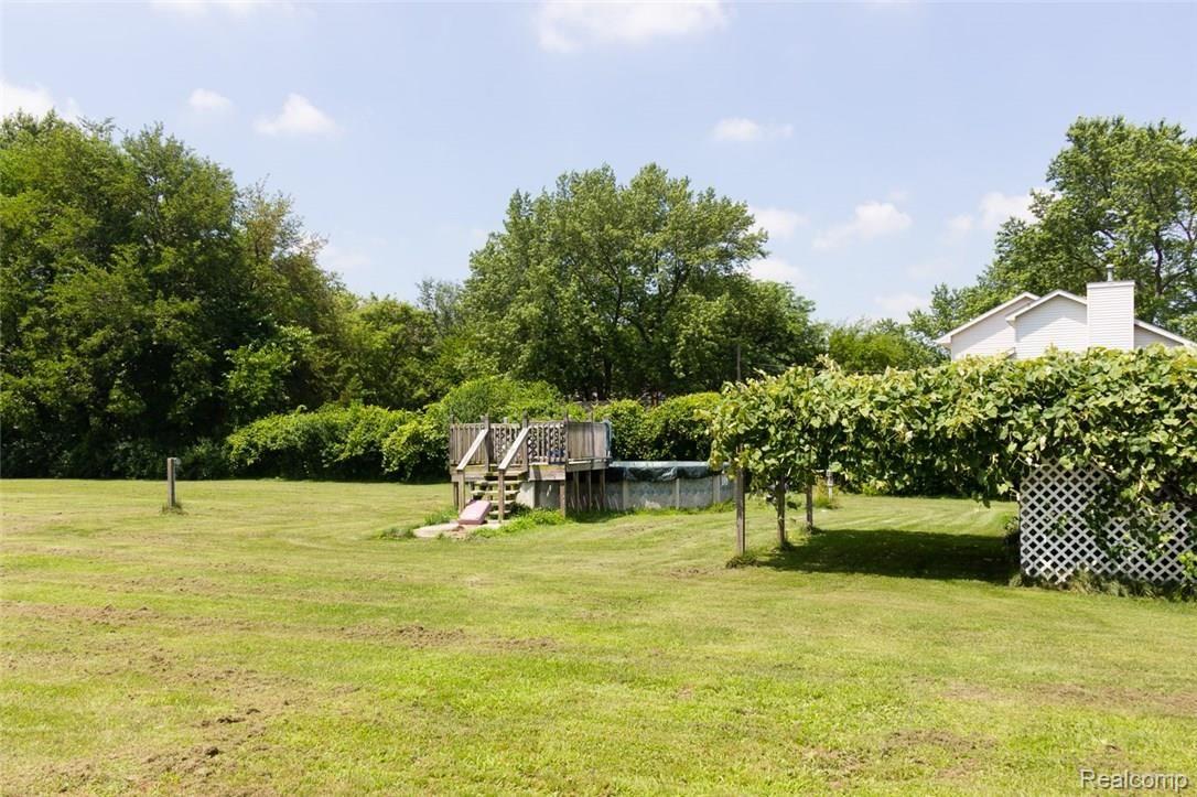 4961 West Dunbar Road Monroe, MI 48161 - Photo 21 of 22 pool and grape arbor.jpg